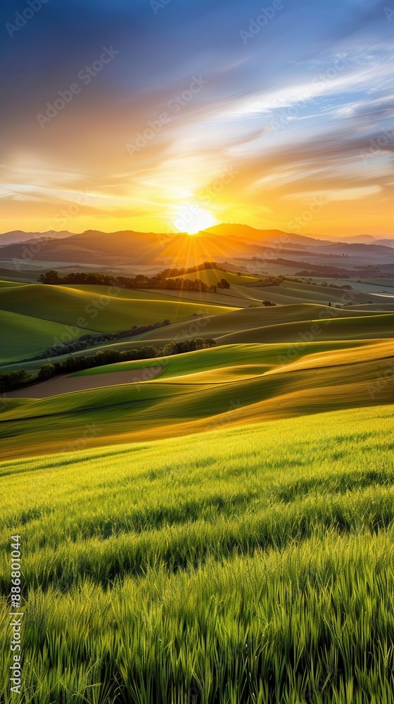 Fototapeta premium Stunning sunset over rolling green hills.