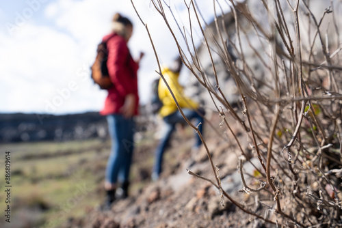 Wallpaper Mural Hikers exploring rocky terrain, selective focus on dry branches, outdoor adventure concept Torontodigital.ca