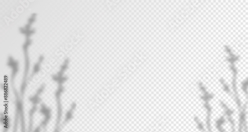 Blurred shadows from leaves and plants in the room. Soft overlay of natural light. Abstract background for product presentation.Natural light layout.