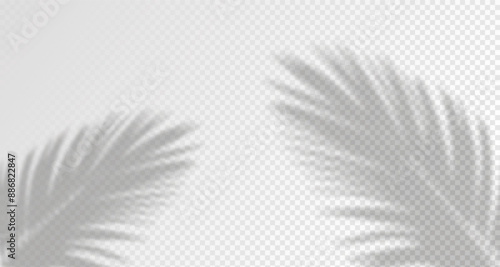 Blurred shadows from leaves and plants in the room. Soft overlay of natural light. Abstract background for product presentation.Natural light layout.