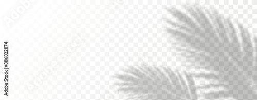 Blurred shadows from leaves and plants in the room. Soft overlay of natural light. Abstract background for product presentation.Natural light layout.