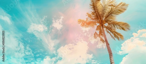 Summer beach scene with a palm tree against a blue sky and clouds, offering copy space in pastel tones, with a blurred background and visible noise from high ISO and soft focus. photo