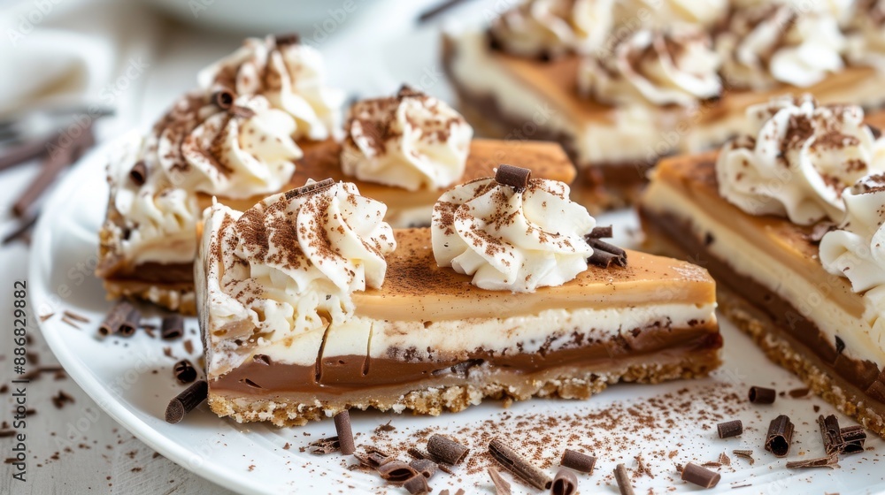 A slice of chocolate and vanilla cheesecake with whipped cream A slice of chocolate and vanilla cheesecake with whipped cream