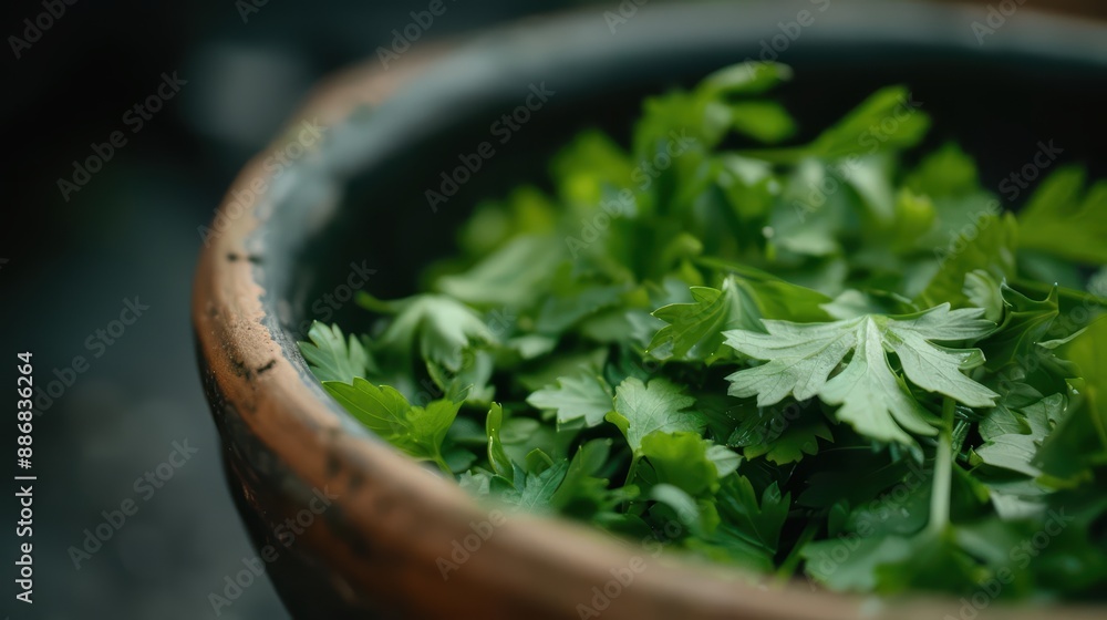 A supernatural scene where chervils feathery leaves shimmer with a silver light, imparting a subtle, mystical essence of parsley and anise to enchanted dishes A supernatural scene where chervils feathery leaves shimmer with a silver light, imparting a subtle, mystical essence of parsley and anise to enchanted dishes