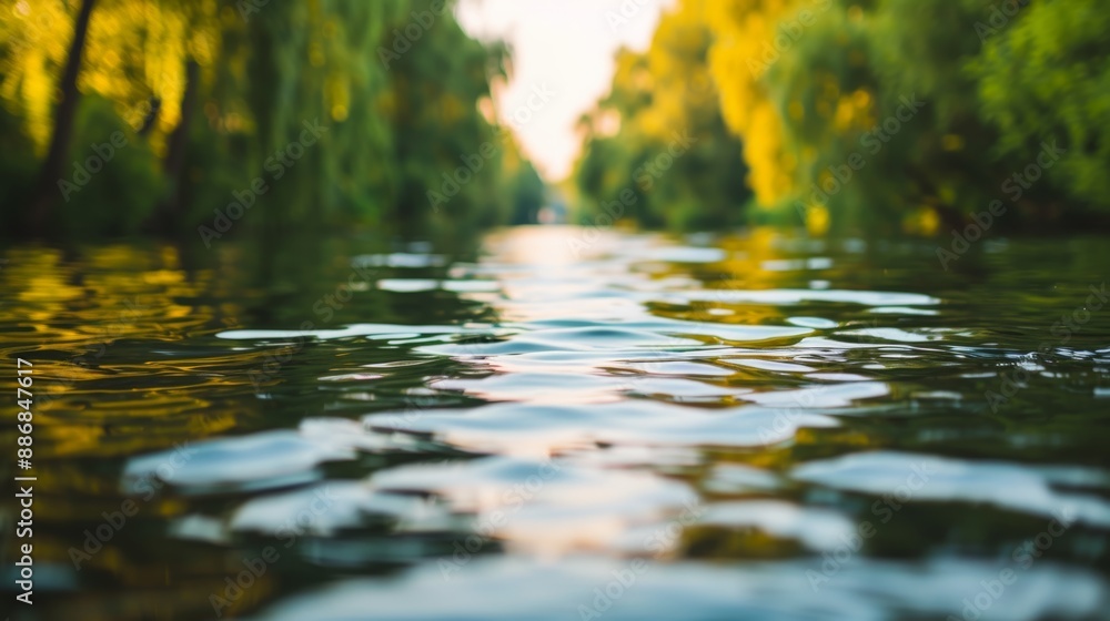 Fototapeta premium Tranquil river flowing through lush green forest in a serene natural setting during golden hour with sunlight reflecting on the water's surface.