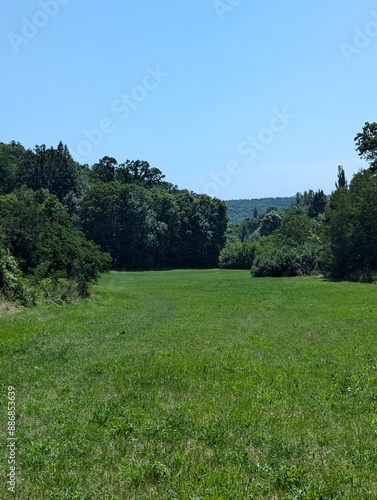 a field with a blue sky and trees in the background.