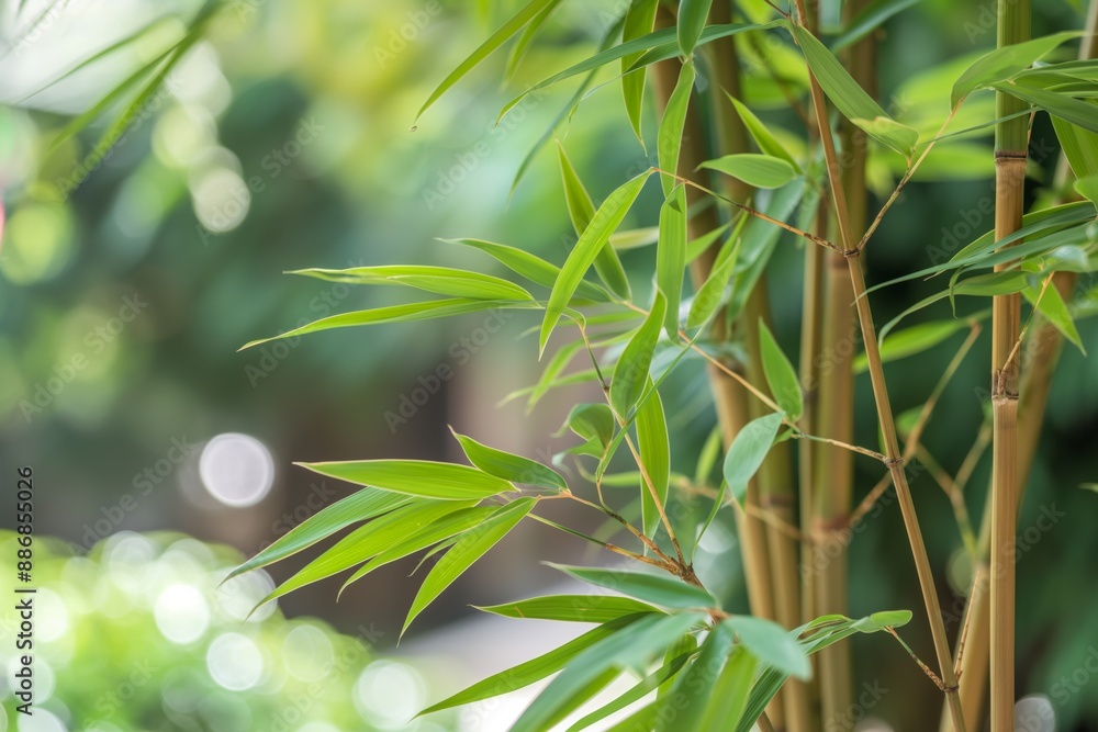 Fototapeta premium A lush green bamboo plant with leaves that are long and thin. The plant is surrounded by a green background, giving it a peaceful and serene atmosphere