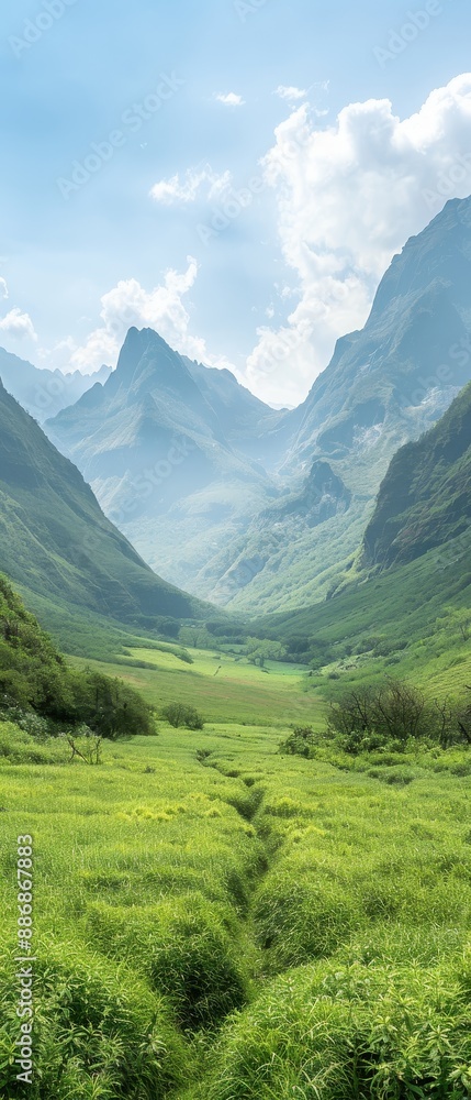 A mountain valley with a path through it A mountain valley with a path through it