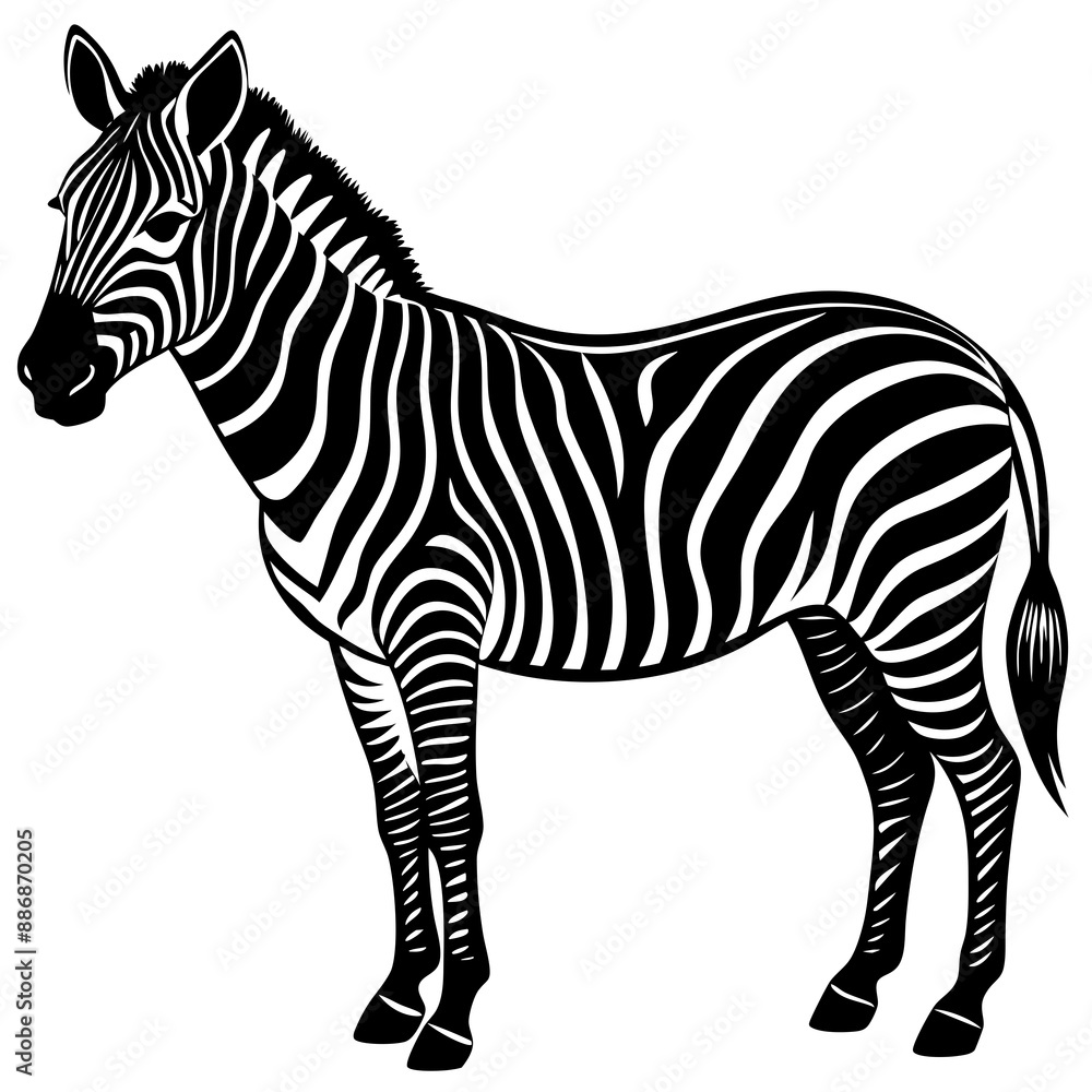 Obraz premium Vector Silhouette of Zebra