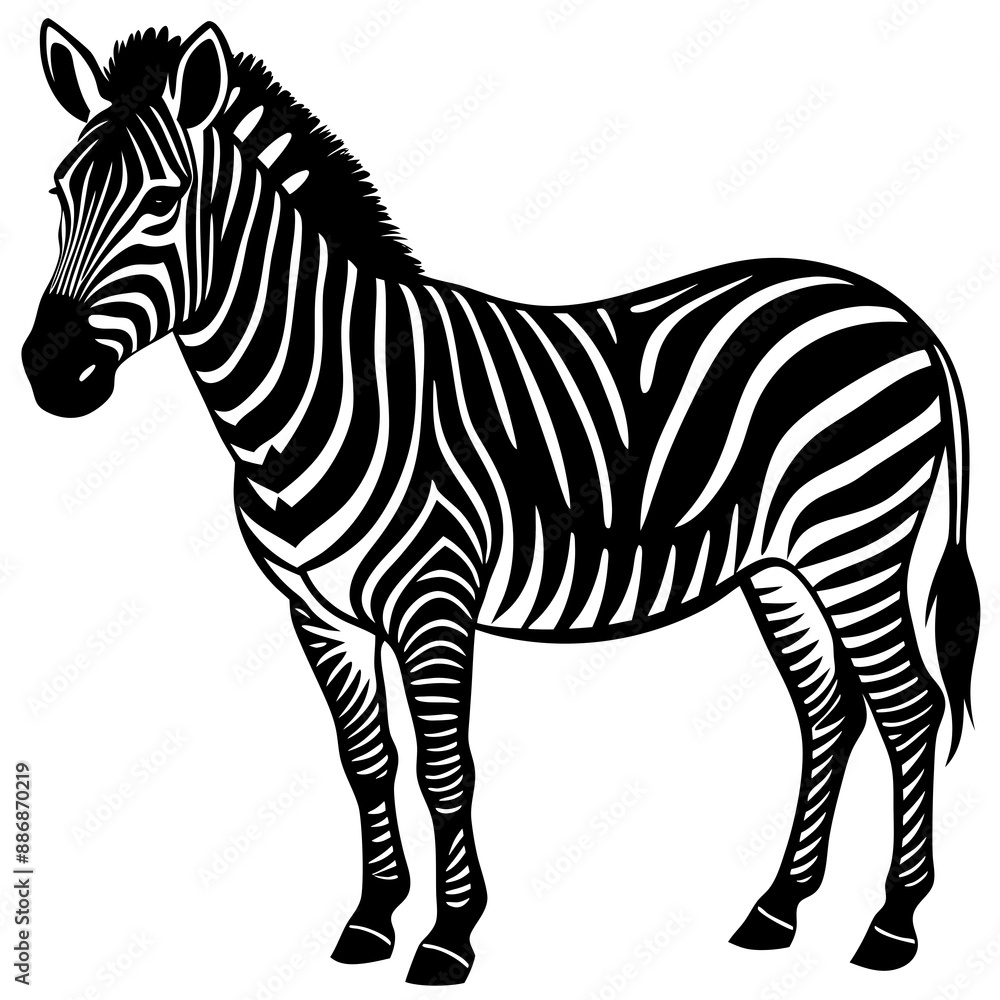 Obraz premium Vector Silhouette of Zebra