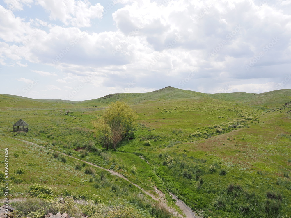 Naklejka premium カザフスタン 世界遺産タムガリの考古的景観にある岩絵群