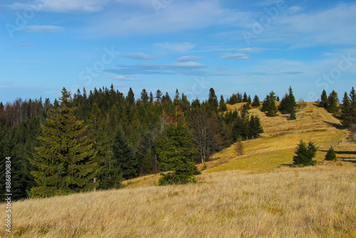 Krajobraz jesienny w górach, ciepły, słoneczny dzień w Beskidach, górskie wędrówki © anettastar