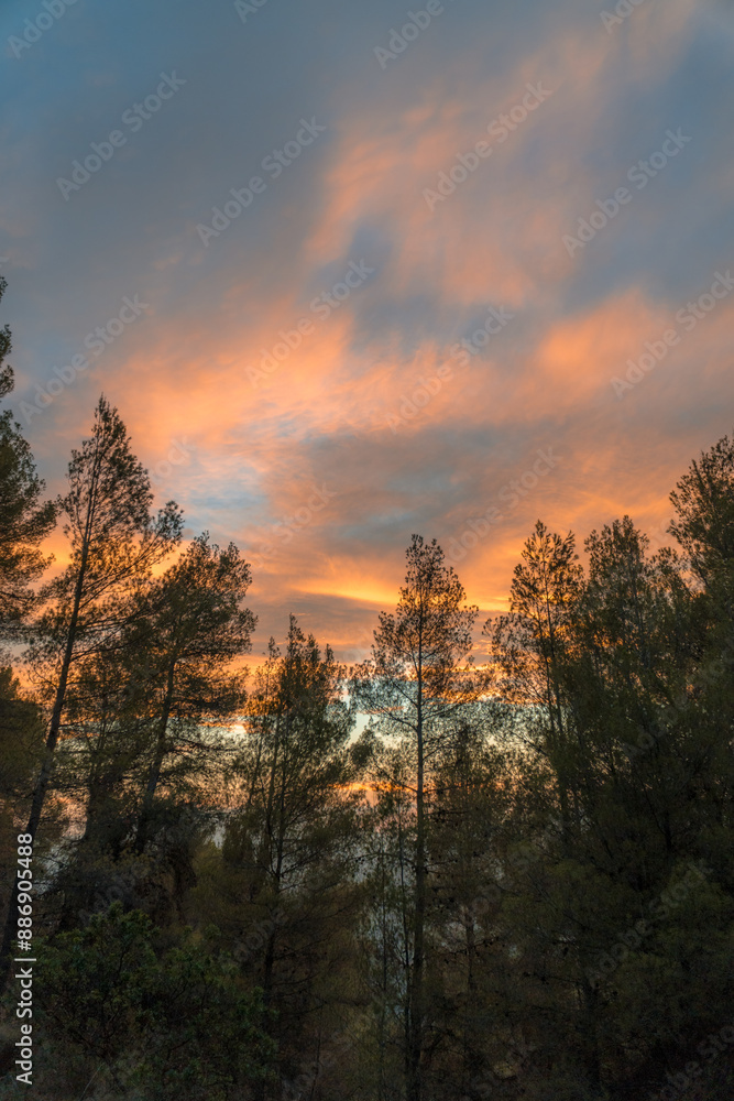 Beautiful sunset in the forest, dramatic sky with orange clouds. Beautiful sunset in the forest, dramatic sky with orange clouds.