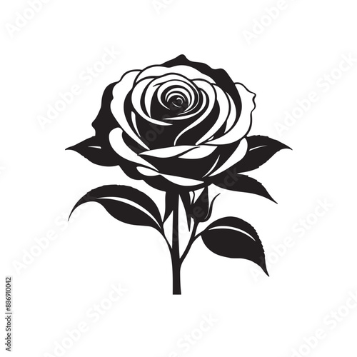 A black and white drawing of a rose with the word rose on it. photo