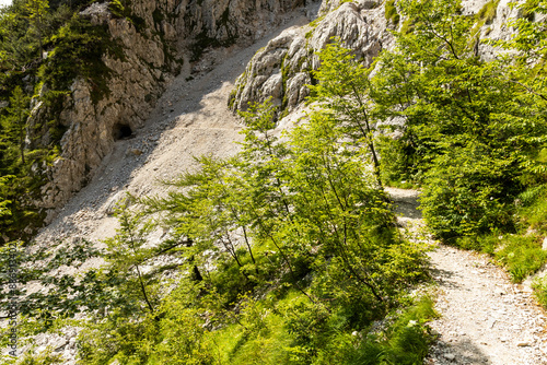 Begunjščica panorama of mountain trekking to the highest peak. View of the Alps, climbing with via ferrata. Distant view of Lake Bled from above. Sports holidays, life of adventure in the countryside. photo