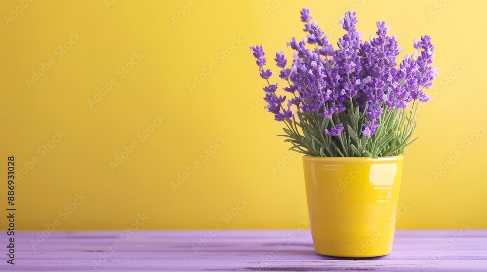 A yellow vase, brimming with purple blooms, rests atop a weathered purple table Behind it, a sunlit yellow wall forms a serene backdrop A yellow vase, brimming with purple blooms, rests atop a weathered purple table Behind it, a sunlit yellow wall forms a serene backdrop