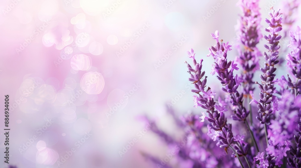 A tight shot of a bouquet of flowers against a softly blurred backdrop, with a speck of bright light, or bokeh, visible in the background A tight shot of a bouquet of flowers against a softly blurred backdrop, with a speck of bright light, or bokeh, visible in the background