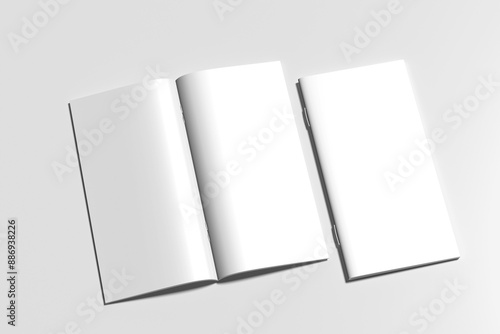 Dl Magazine Mockups Blank