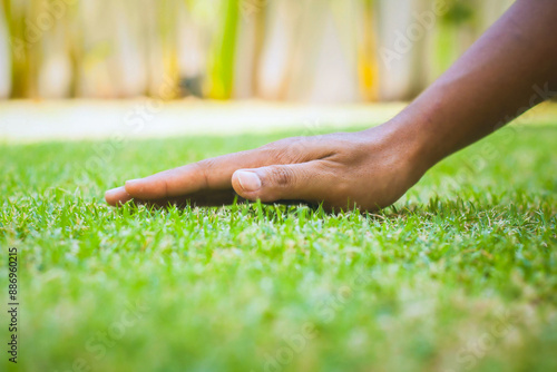 Male farmer strokes manicured lawn with his palm. Man's hand touches the green grass on the field. Fingers touch the grass in the clearing, feeling the nature. Close-up