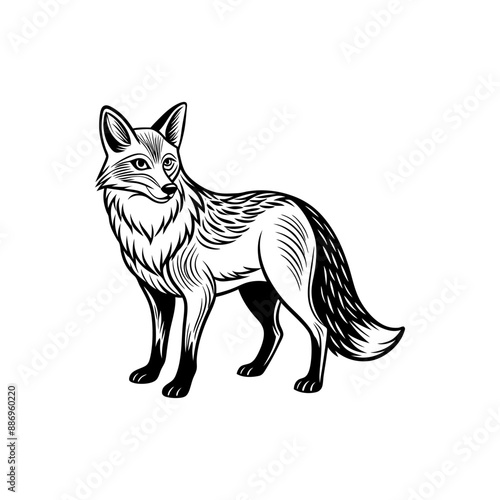 Animals encompass a diverse range of species, each with unique characteristics, habitats, behaviors, and roles in ecosystems, from mammals to insects.