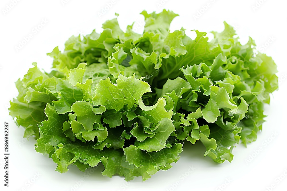 A pile of lettuce sitting on top of a white surface A pile of lettuce sitting on top of a white surface
