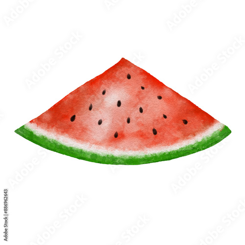 Triangle slice of watery watermelon draw in watercolor style