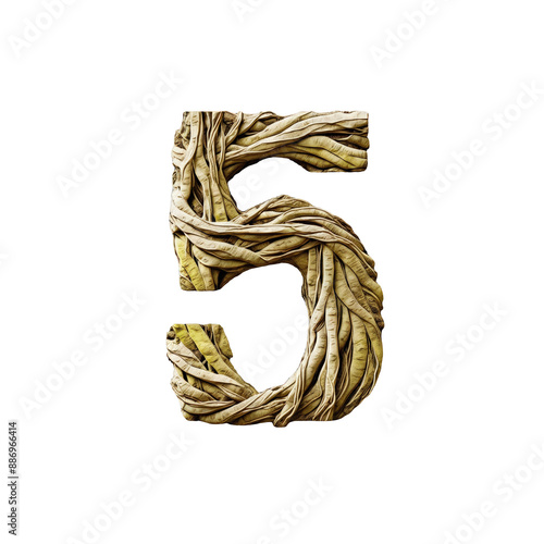 Number 5. Five. Nature-Inspired Artstyle with old tree roots. Foresttheme. typography font, alphabet abc, isolated on transparent background png. photo