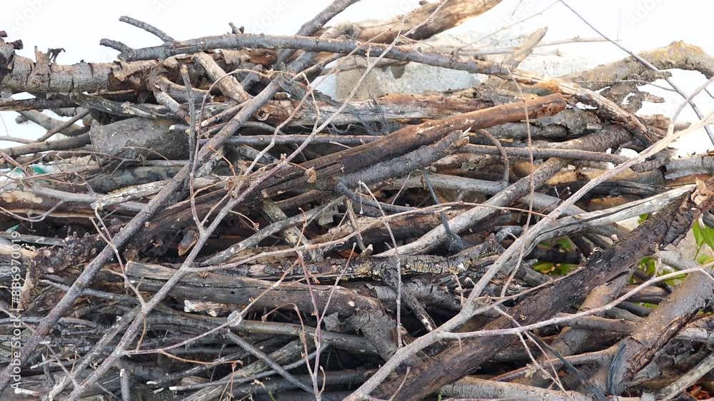 dried tree branches piled on top of each other, tree branches to be used as fuel, dried tree branches piled on top of each other, tree branches to be used as fuel,