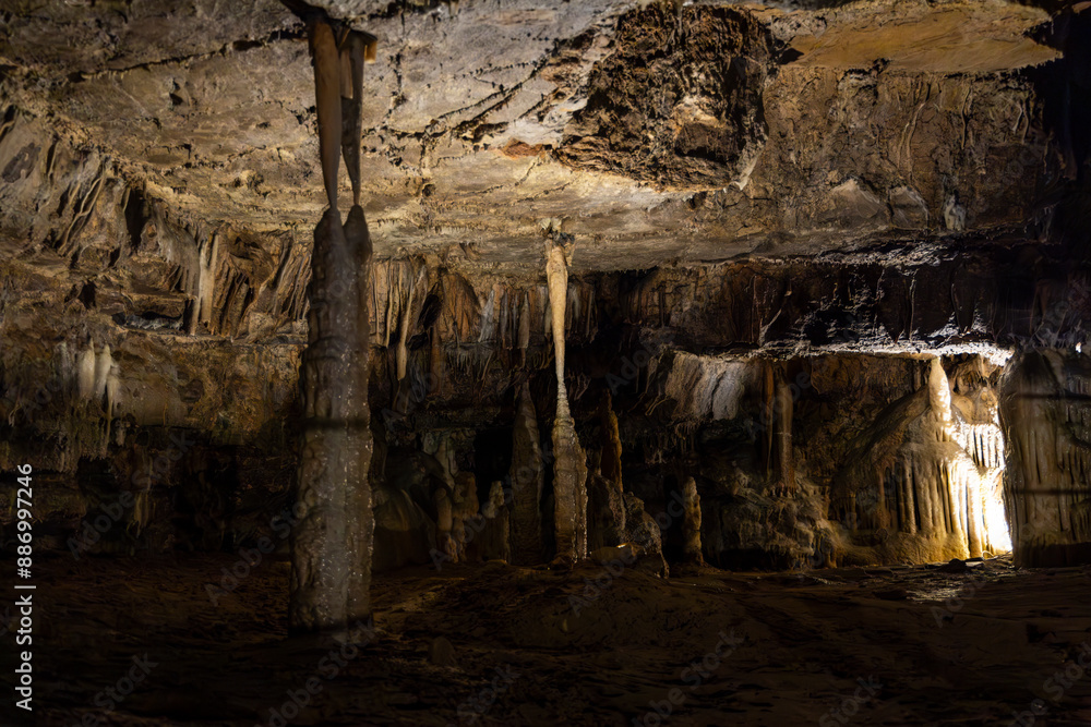 Obraz premium Postojna Cave, Slovenia. Famous tourist attraction, route that winds for several km. Departure by train to reach the route on foot. Stalagmites, stalactites and proteus lizard. family holidays,unique.