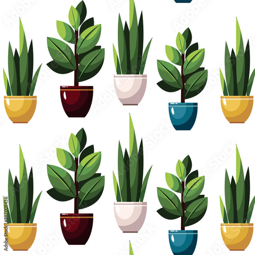 Home plants in flowerpots on white background. Pattern background