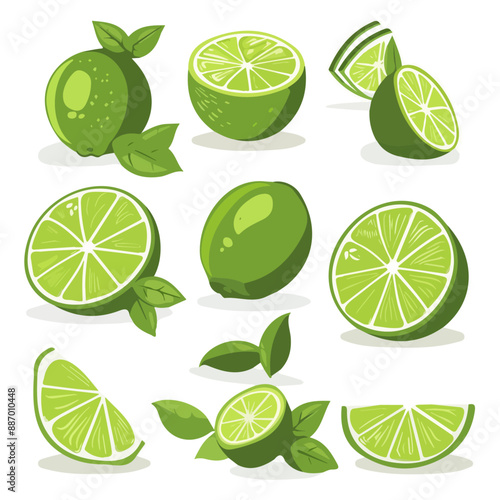 Cartoon lime. Lime slices, green citrus fruit with leaves, and lime blossom. Top view. Lime is sliced in various pieces, juice in glasses, leaves, flowers, grains, and drops. lime set