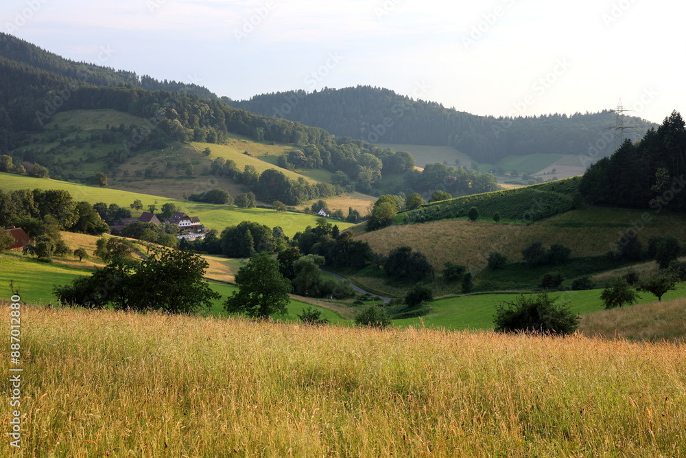 Obraz premium Frühlingslandschaft in Gundelfingen bei Freiburg