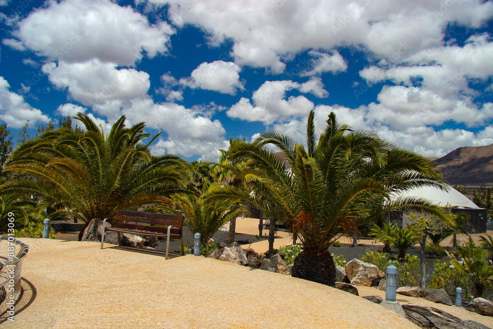 Egzotyczny ogród z palmami, niebieskie niebo z chmurami, krajobraz wyspy Lanzarote, tapeta, tło Egzotyczny ogród z palmami, niebieskie niebo z chmurami, krajobraz wyspy Lanzarote, tapeta, tło