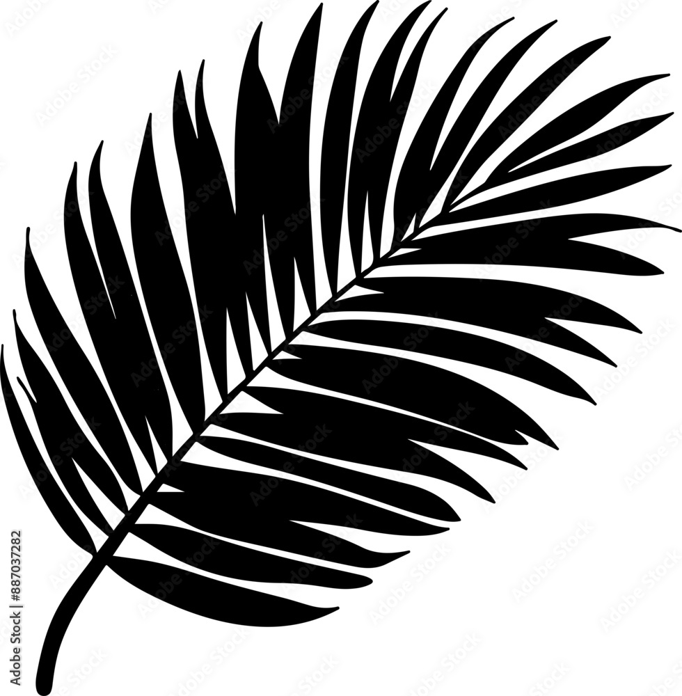 Fototapeta premium palm leaf vector illustration isolated on transparent background. 