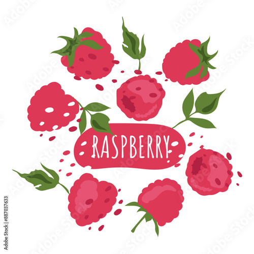 Set of juicy raspberries with text. Fresh, summer and delicious berries. Vector label of organic berries. Eco-label for natural raspberry flavor. Design for juice, smoothie, cosmetics, ice cream.