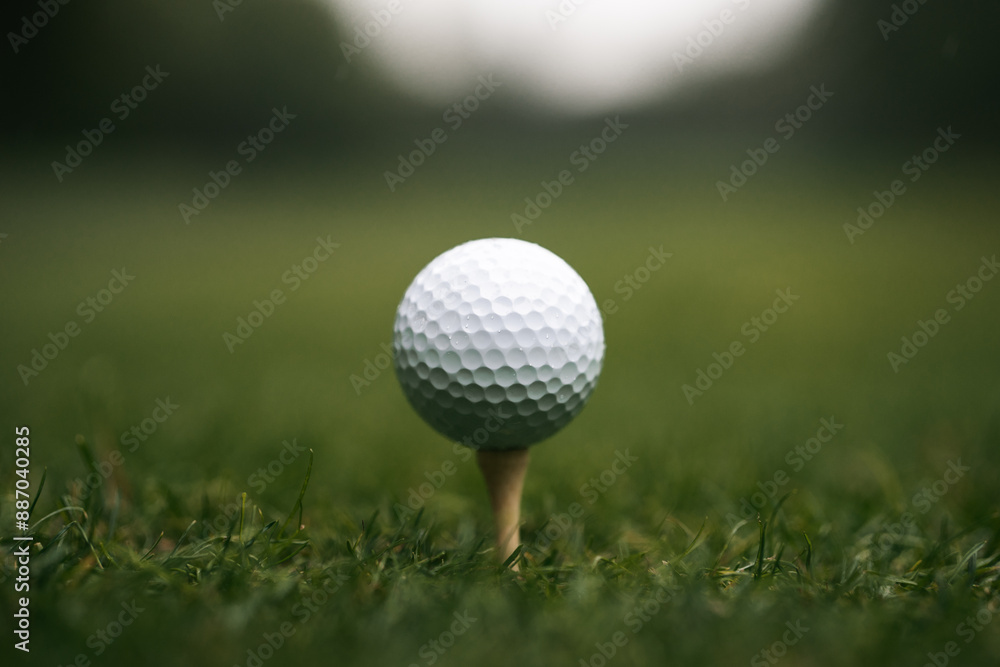 Golf ball on a grass golf course Golf ball on a grass golf course