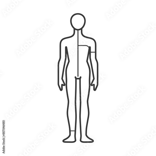 Anatomical Outline: Human Figure with Segmented Body Mapping