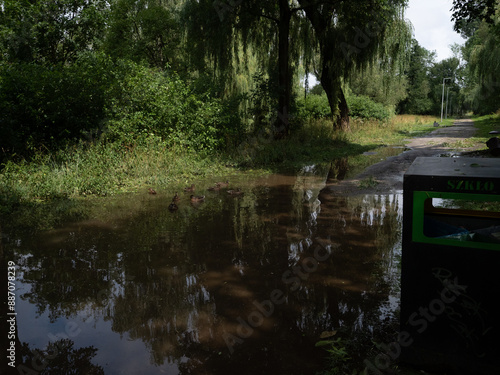 Pozzanghere nel parco  photo