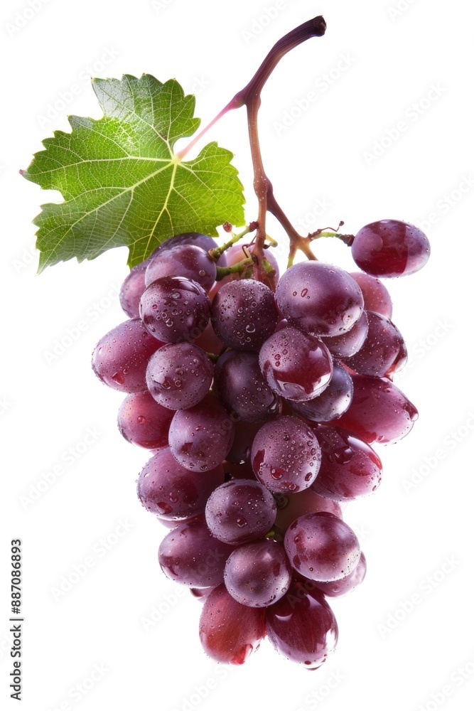 Fototapeta premium A detailed view of a cluster of grapes, perfect for food or beverage related uses