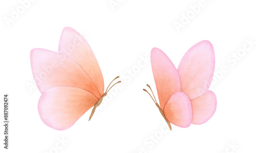 Photography Set of pink, coral, peach fuzz, orange, delicate colors butterfly on isolated background