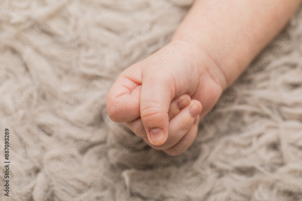 Little Newborn baby's hand fist Little Newborn baby's hand fist