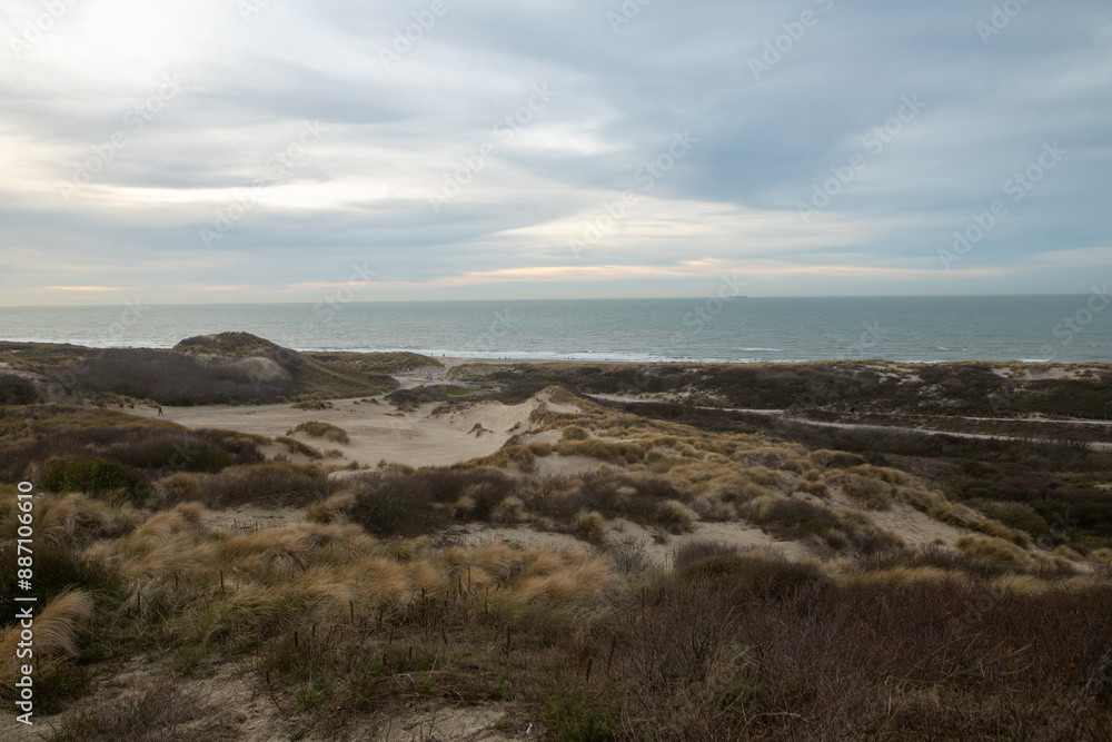 A sweeping sand dune under a dramatic, cloud-filled sky, with shifting shadows and soft light filtering through the clouds A sweeping sand dune under a dramatic, cloud-filled sky, with shifting shadows and soft light filtering through the clouds