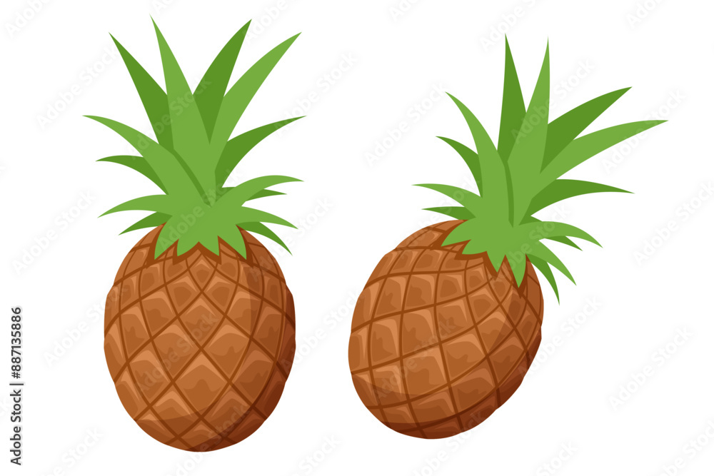 Isometric Pineapple is a tropical fruit with a rough, spiky skin and sweet, juicy flesh. Tasty raw whole tropical fruit, healthy nutrition concept Isometric Pineapple is a tropical fruit with a rough, spiky skin and sweet, juicy flesh. Tasty raw whole tropical fruit, healthy nutrition concept