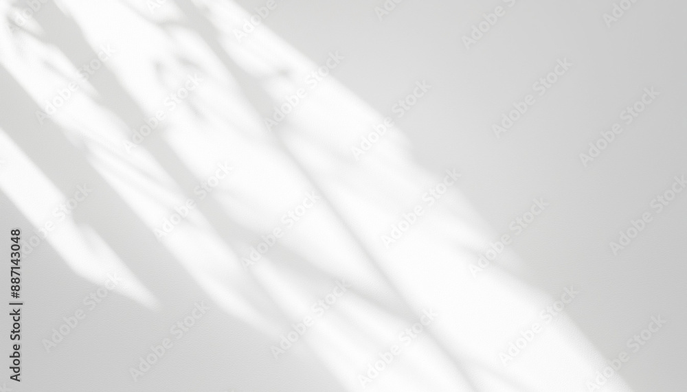 Obraz premium Window natural shadow overlay effect on white texture background, for overlay on product presentation, backdrop and mockup