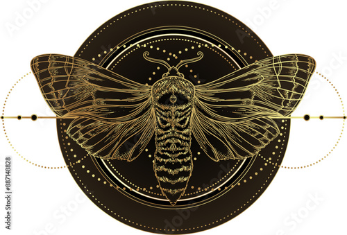 Golden moth over sacred geometry sign, isolated vector illustration. Tattoo flash. Mystical symbols and insects in gold. Alchemy, occultism, spirituality. Hand-drawn vintage.