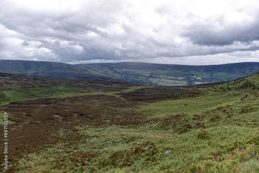 Fototapeta premium Ireland - Bog Landscape by Lough Bray