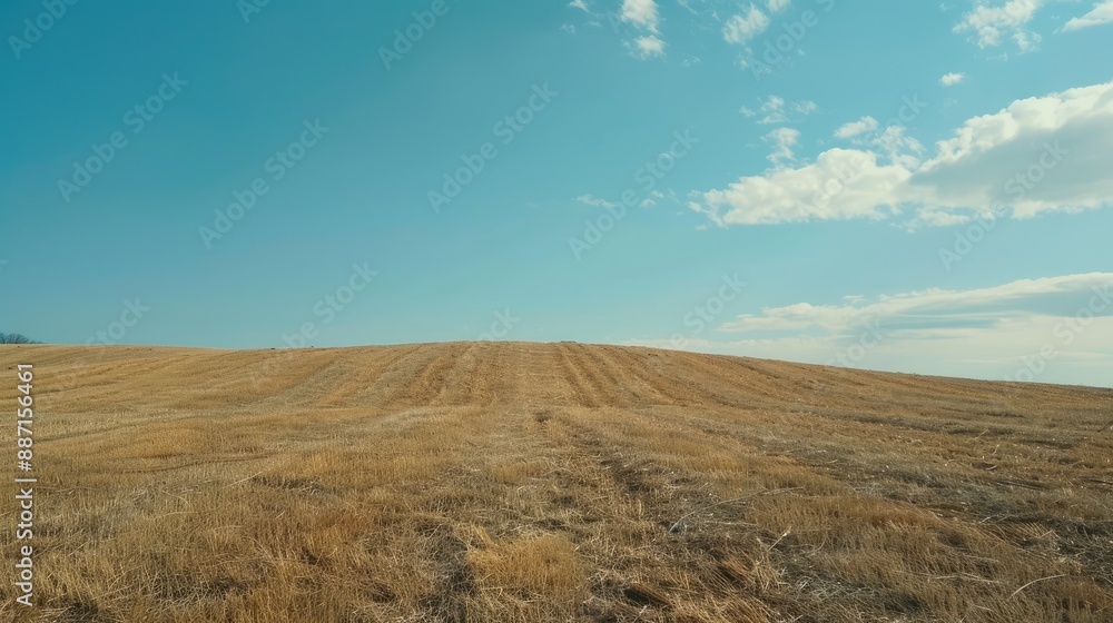 Hills covered with stubble under a blue sky on a spring day Minimalistic landscape field under sky Hills covered with stubble under a blue sky on a spring day Minimalistic landscape field under sky
