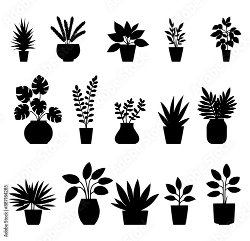 Vector illustration. Large set of flower plants in pots. Silhouette big set.	
