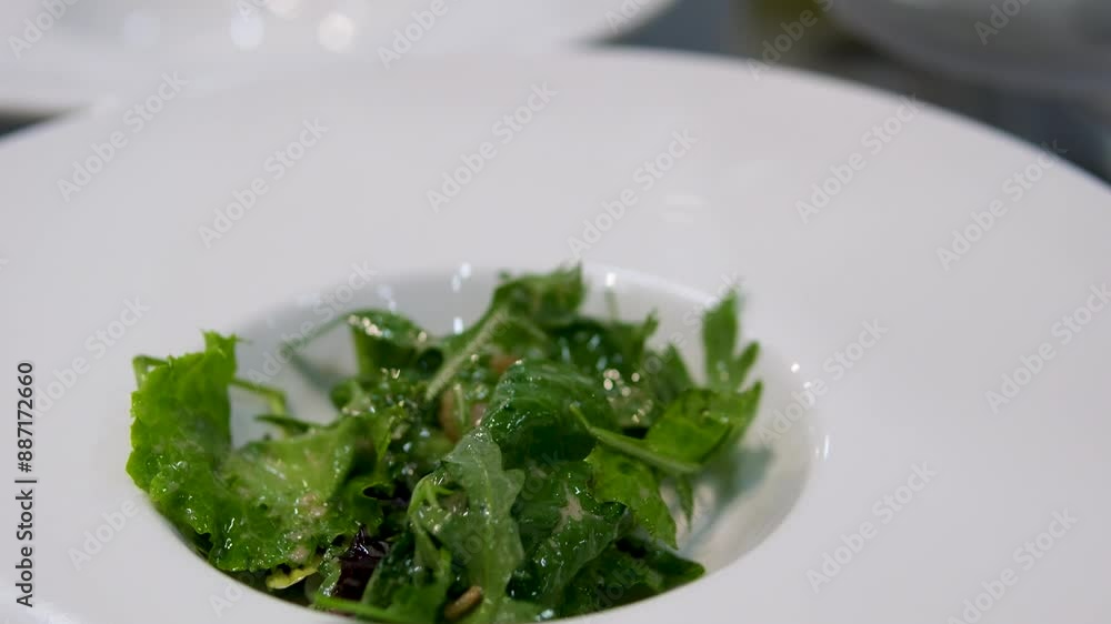 Female hands mixing fresh vegetable salad prepared of tasty green cucumbers, lettuce leaves, red onion and tomatos. Female hands mixing fresh vegetable salad prepared of tasty green cucumbers, lettuce leaves, red onion and tomatos.