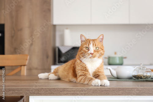 Cute red cat lying on table in kitchen